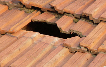 roof repair Hamsterley, County Durham